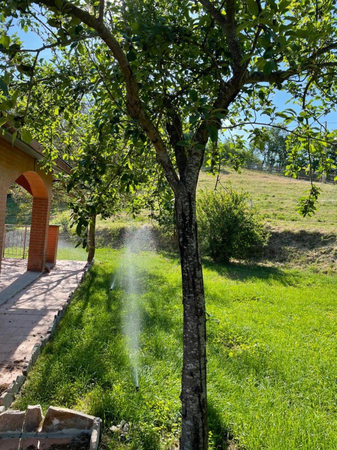 Luxury Villa Arianna Tarano Luaran gambar